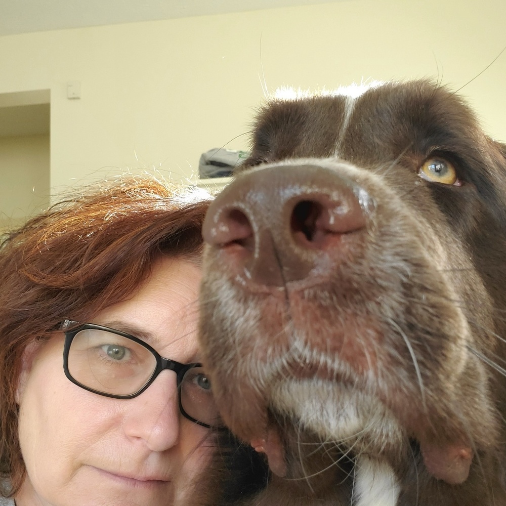 Meet your Posher, Michelle